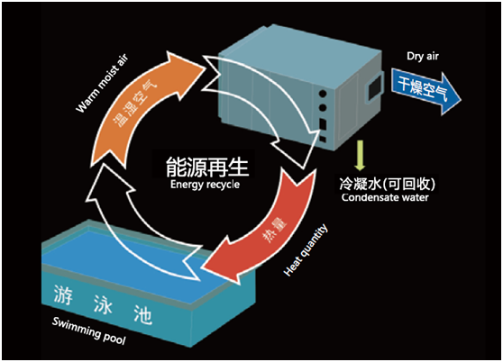 室內泳池恒溫恒濕系統