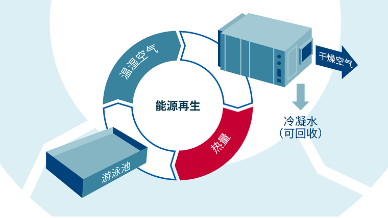 別墅泳池專用熱泵型除濕機原理圖